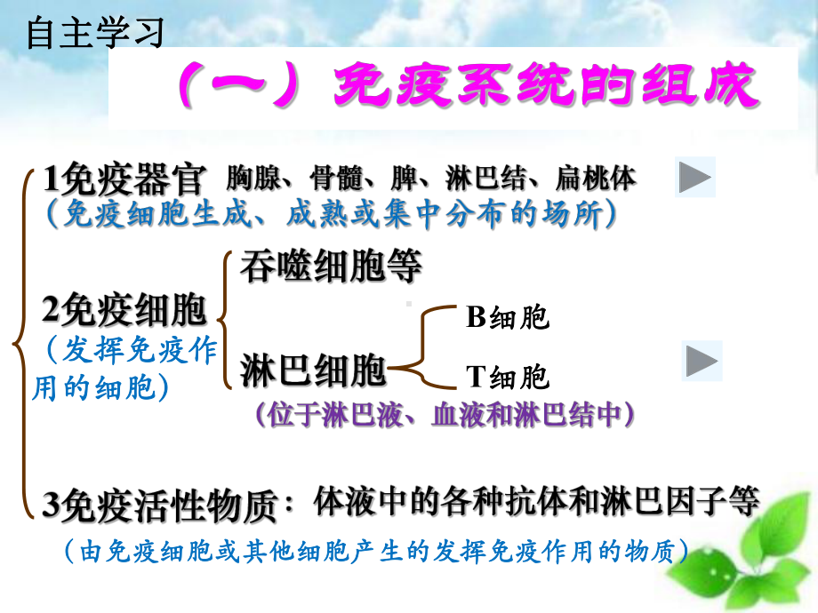 免疫调节课件75.ppt_第3页