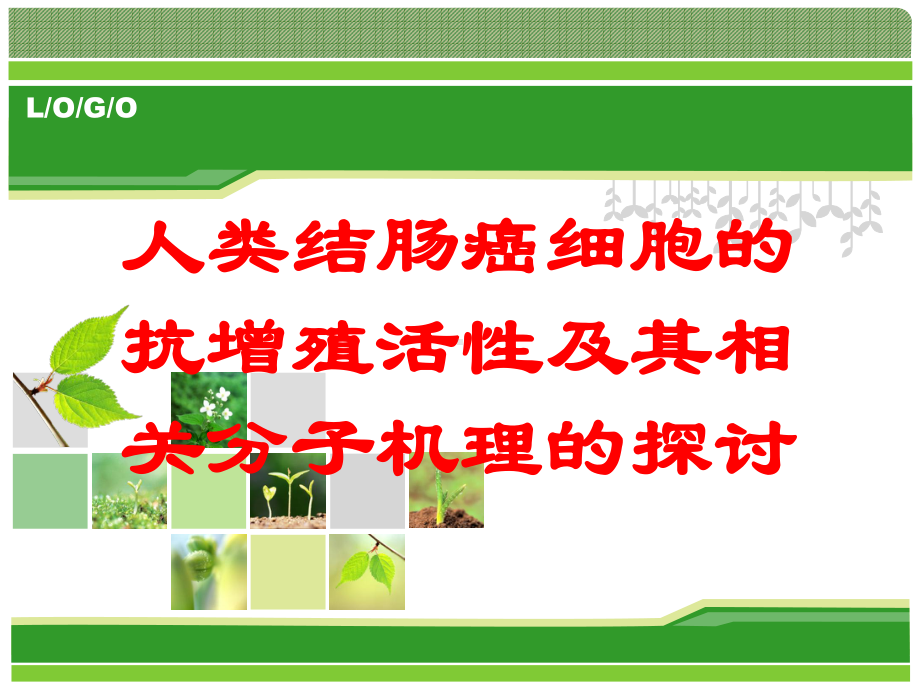 人类结肠癌细胞的抗增殖活性及其相关分子机理的探讨培训课件.ppt_第1页