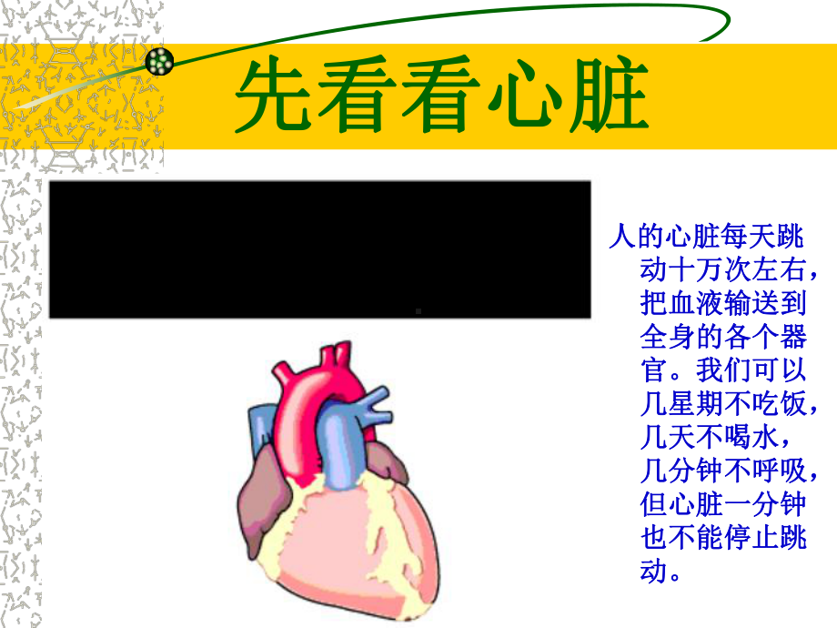 冠心病的用药与新编治疗进展课件.pptx_第2页