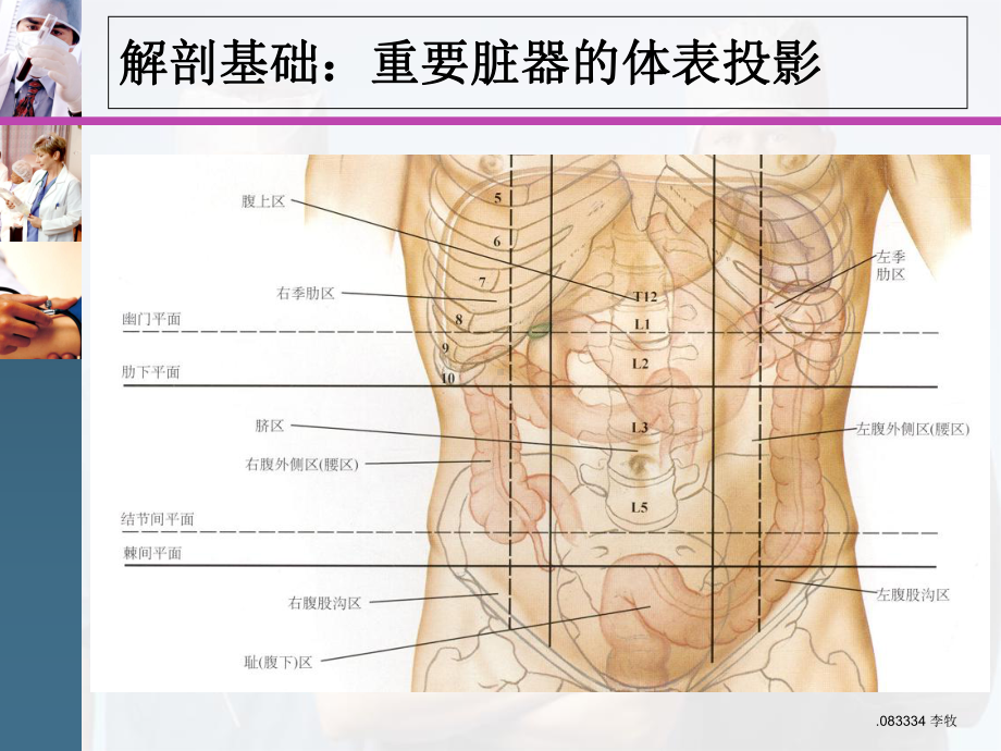 医学课件-腹盆腔CT常见结构及临床意义教学课件.ppt_第2页