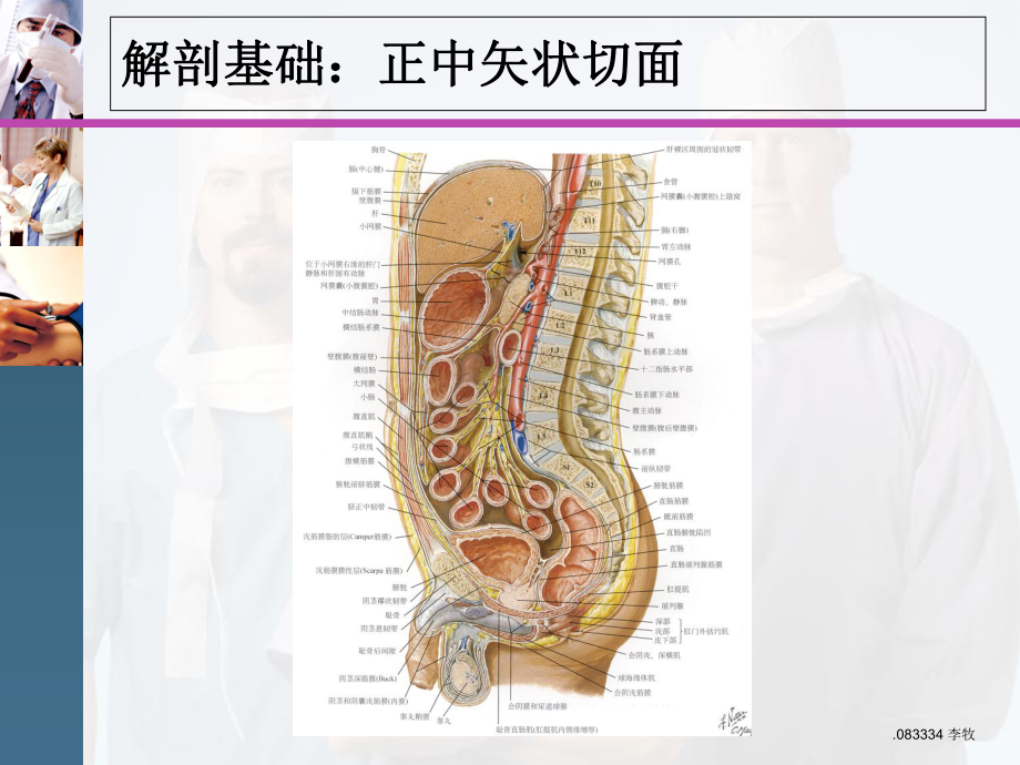 医学课件-腹盆腔CT常见结构及临床意义教学课件.ppt_第3页