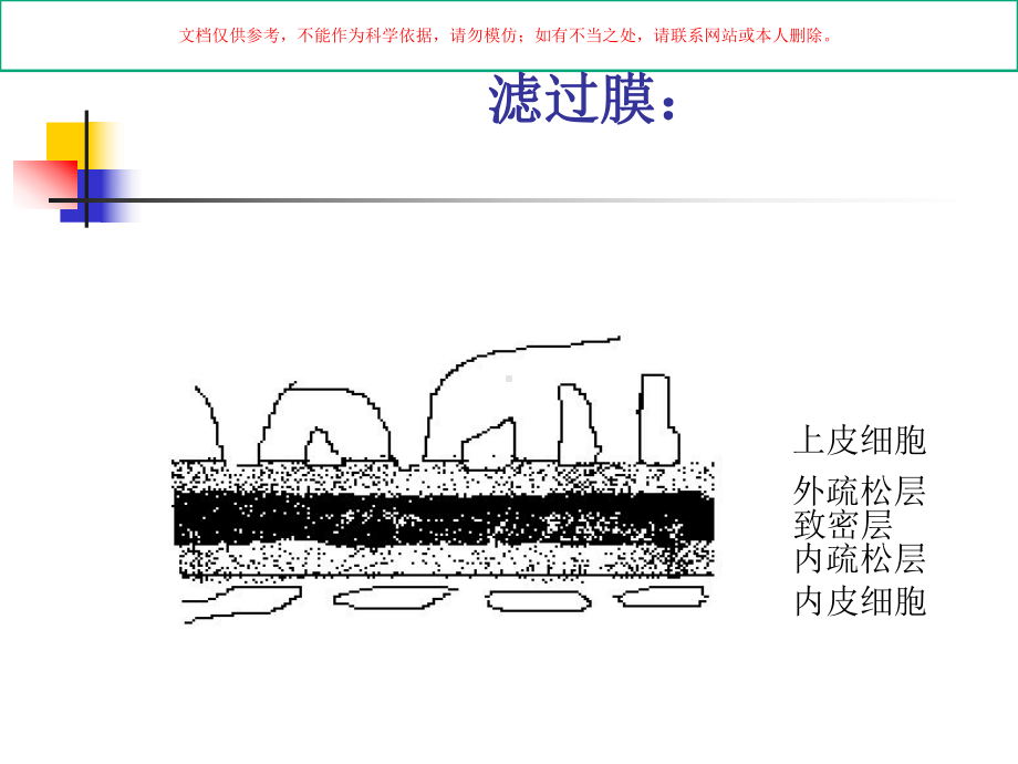 小儿泌尿系统疾病培训培训课件.ppt_第3页