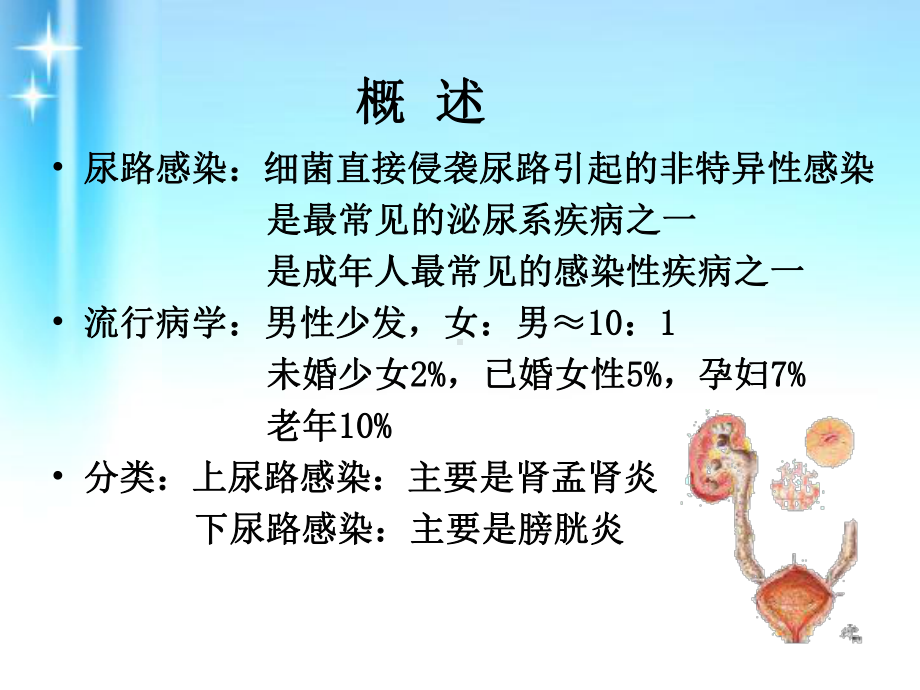 内科护理学泌尿系统尿路感染课件.ppt_第2页