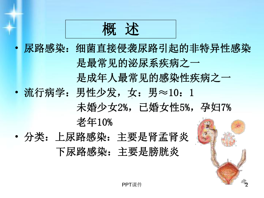 内科护理学-泌尿系统-尿路感染-课件.ppt_第2页