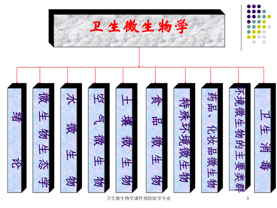 卫生微生物学课件预防医学专业培训课件.ppt_第3页