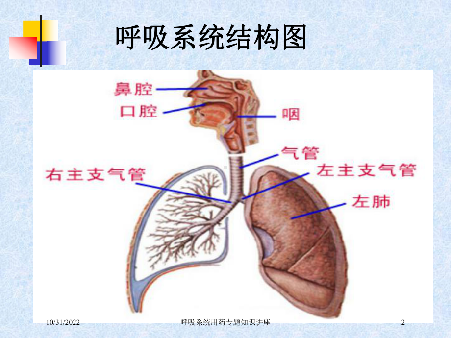 呼吸系统用药专题知识讲座培训课件.ppt_第2页