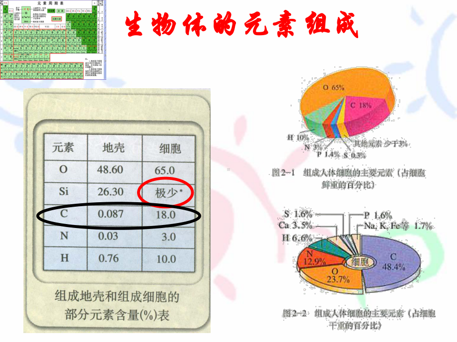 化学课件组成生命的基本物质糖类(coolwy-定).ppt_第2页