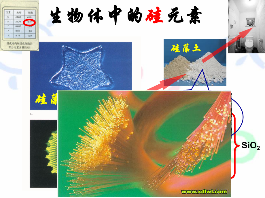 化学课件组成生命的基本物质糖类(coolwy-定).ppt_第3页