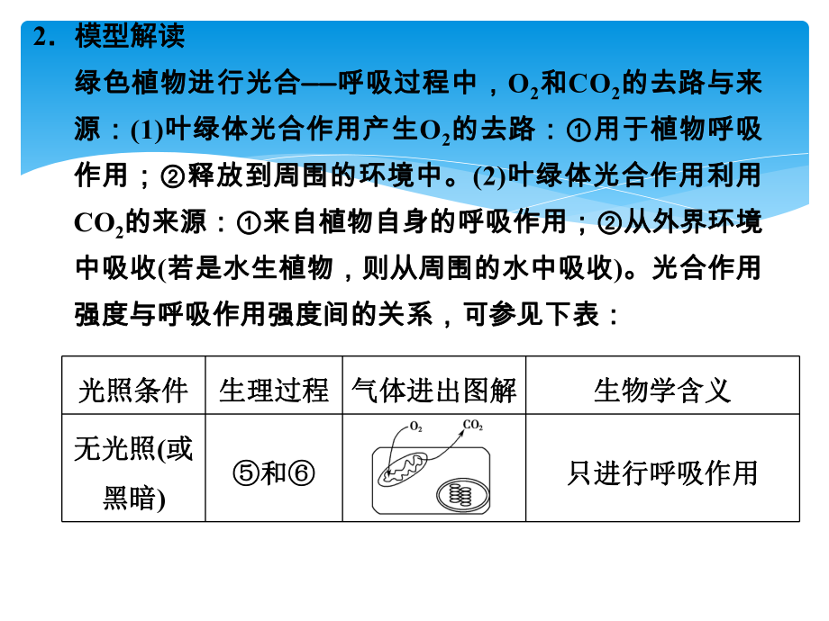 光合作用和细胞呼吸综合题型专训课件.ppt_第3页