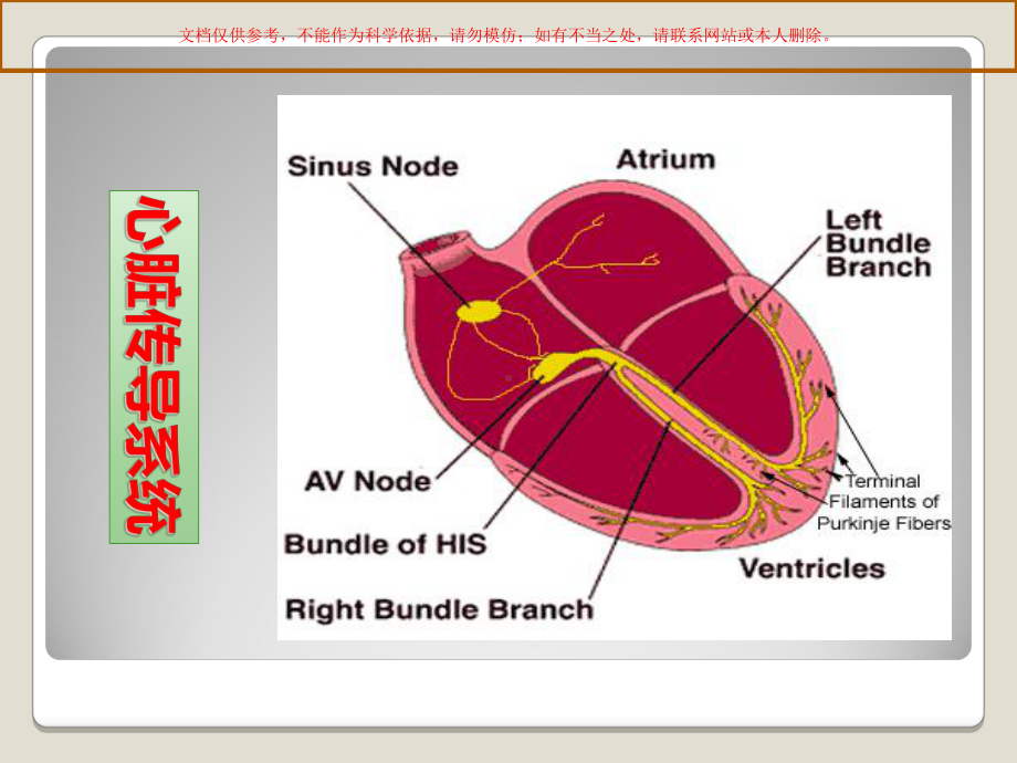 小儿严重心律失常培训课件.ppt_第1页