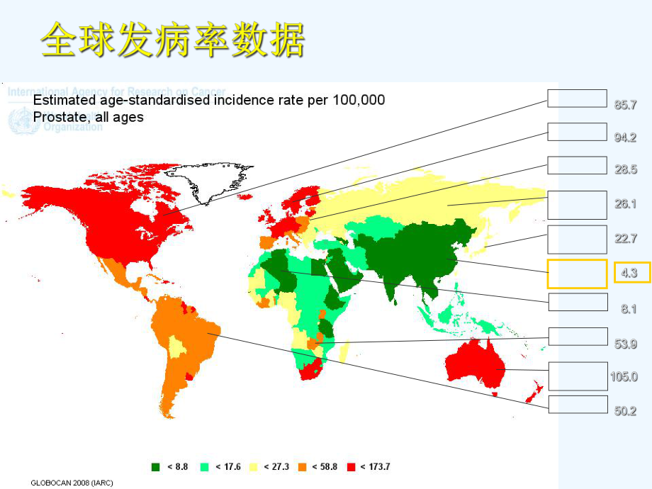 前列腺癌化疗课件.ppt_第2页