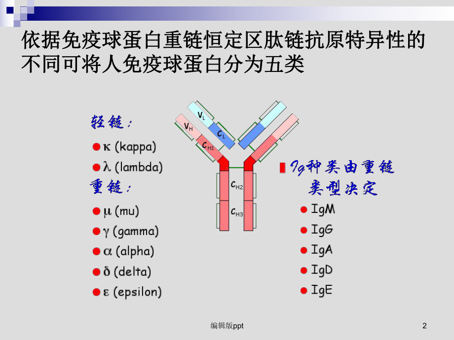 变态反应医学课件.ppt_第2页