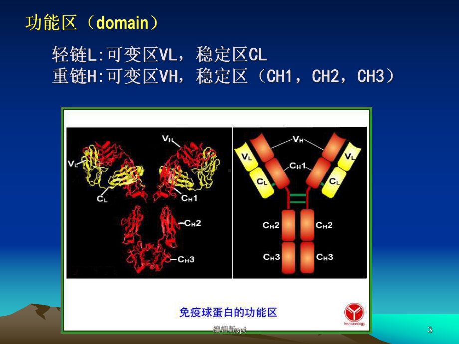 变态反应医学课件.ppt_第3页