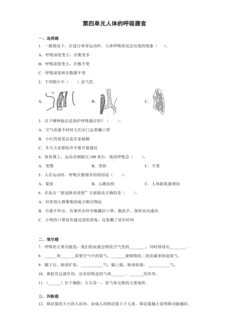 2022新大象版四年级上册《科学》第四单元人体的呼吸器官 （单元测试）.docx_第1页