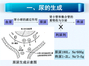 利尿剂的临床应用课件.ppt