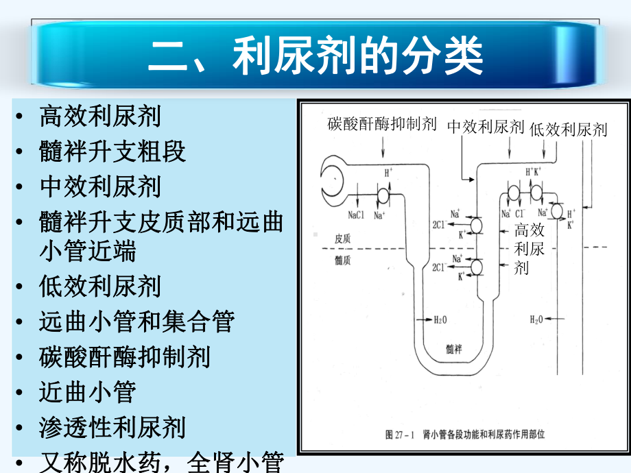 利尿剂的临床应用课件.ppt_第2页