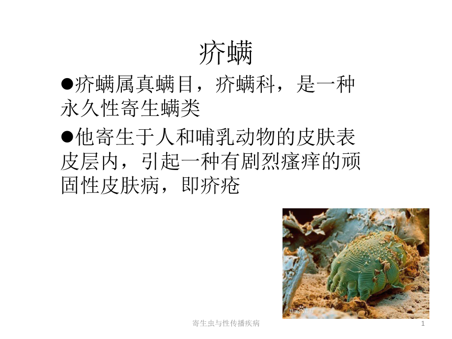 寄生虫与性传播疾病课件.pptx_第1页