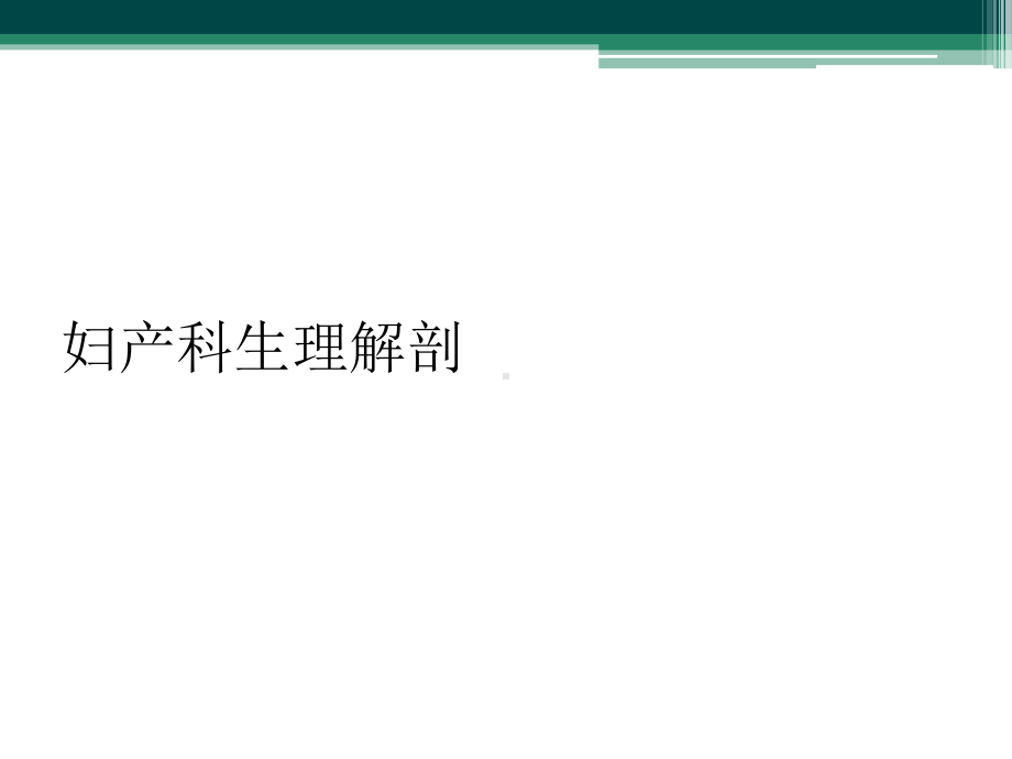 妇产科生理解剖课件.ppt_第1页