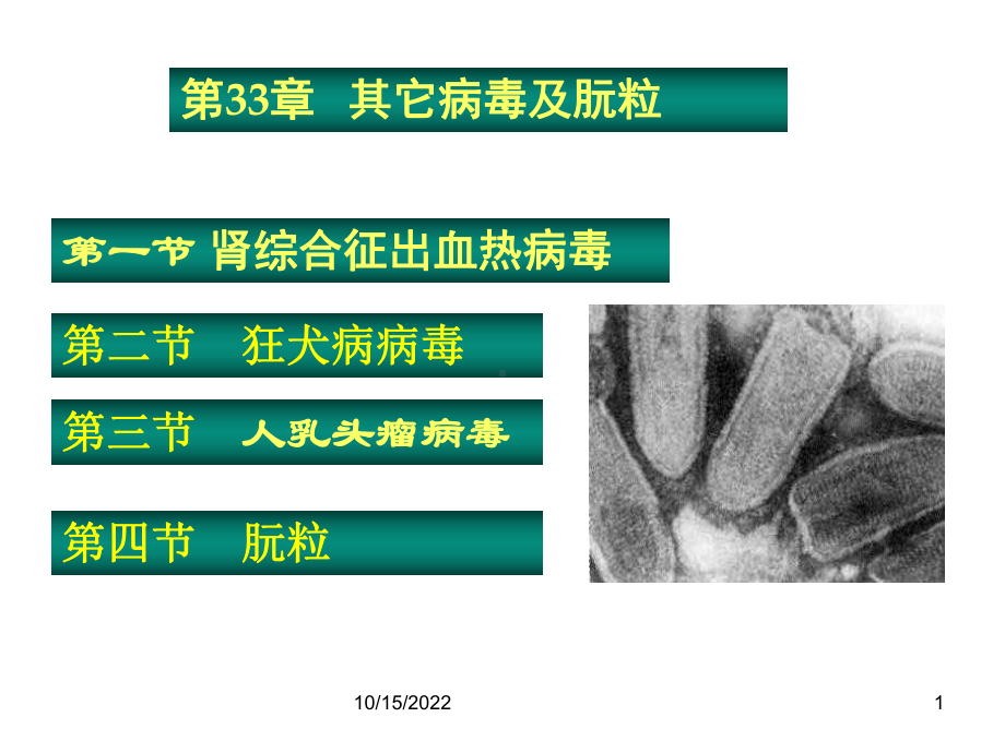 医学微生物-第33章-其他病毒和朊粒课件.ppt_第1页