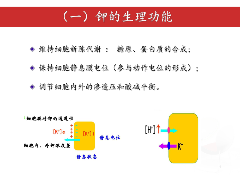 医学课件正常钾代谢及钾代谢.ppt_第1页