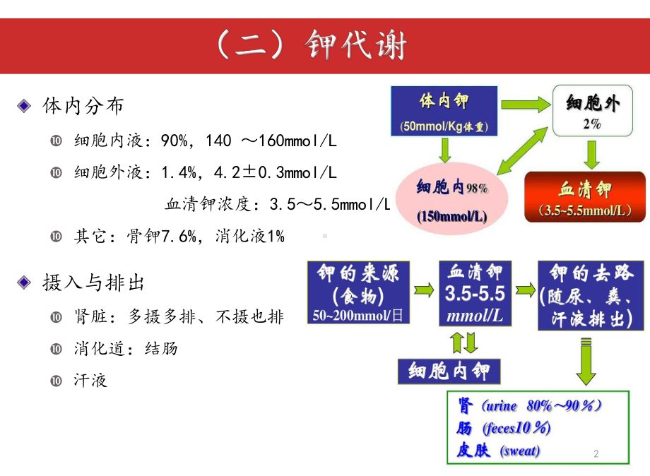 医学课件正常钾代谢及钾代谢.ppt_第2页