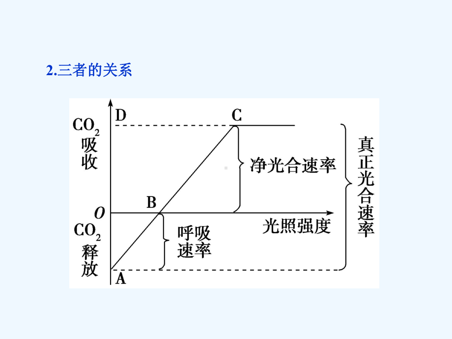 优化方案高考生物光合作用和细胞呼吸的综合作用课件.ppt_第3页