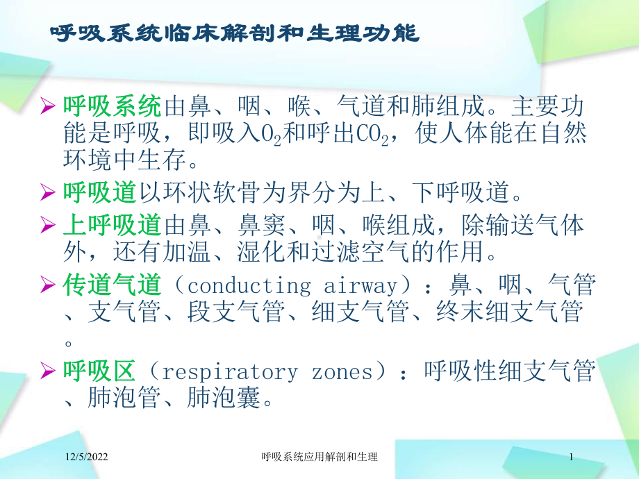 呼吸系统应用解剖和生理课件.ppt_第1页