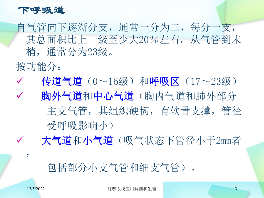 呼吸系统应用解剖和生理课件.ppt_第3页