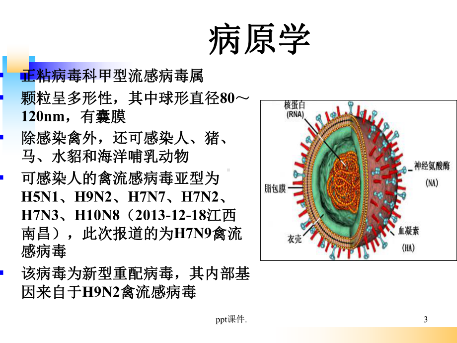 人感染H7N9禽流感的防控课件.ppt_第3页