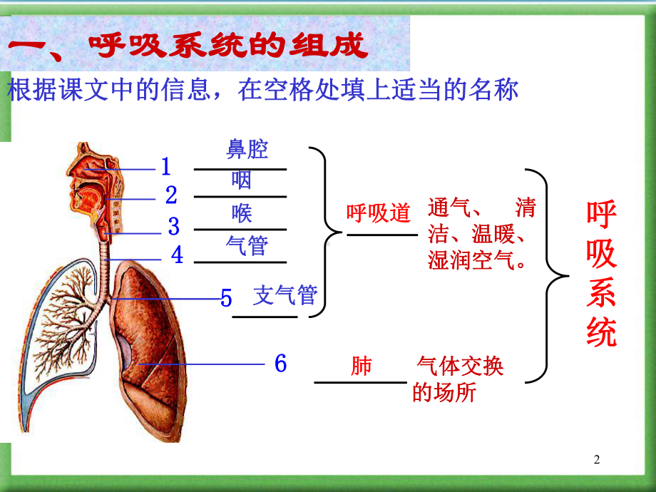 人体的呼吸精选课件.pptx_第2页