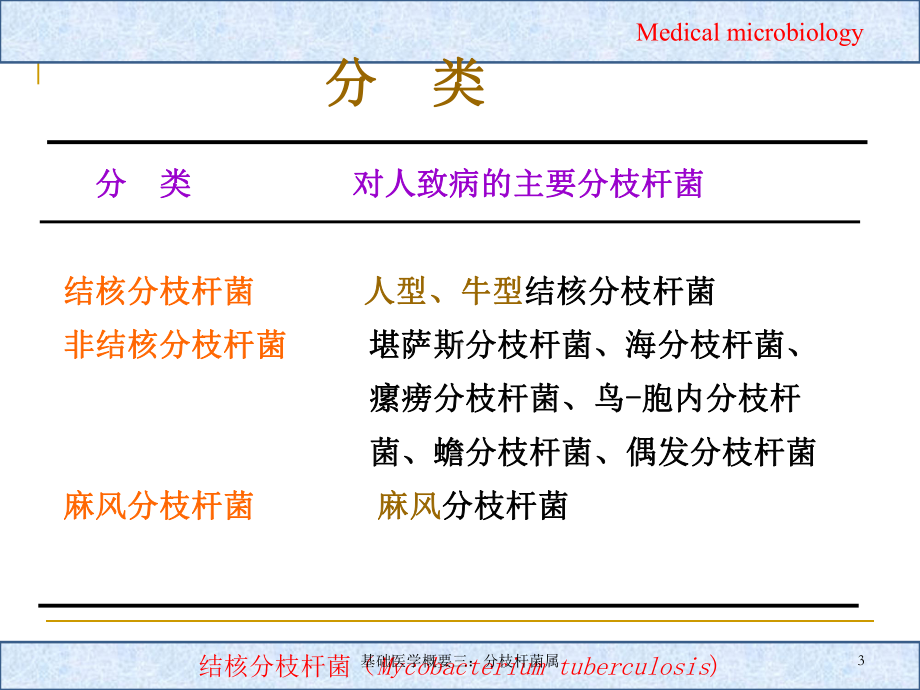 基础医学概要三：分枝杆菌属课件.ppt_第3页