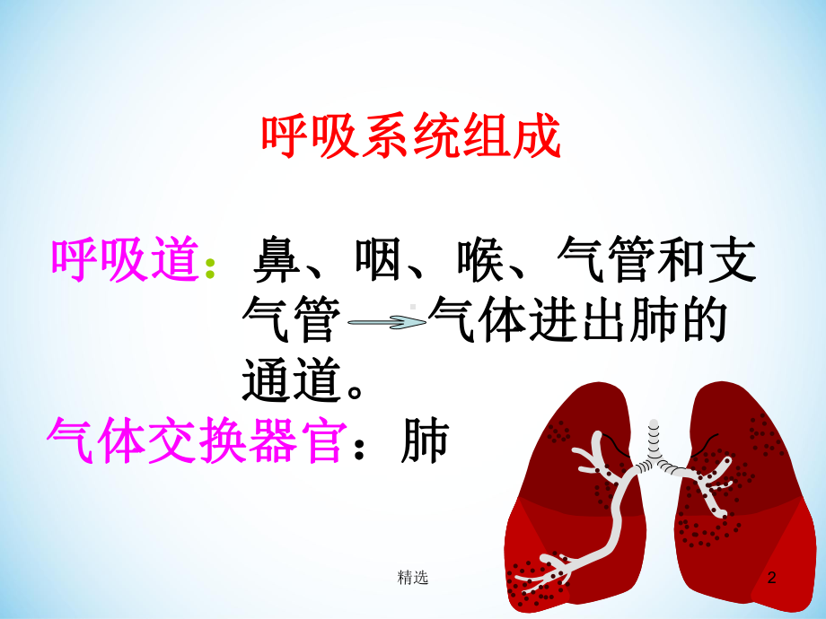 呼吸系统生理解剖课件.ppt_第2页