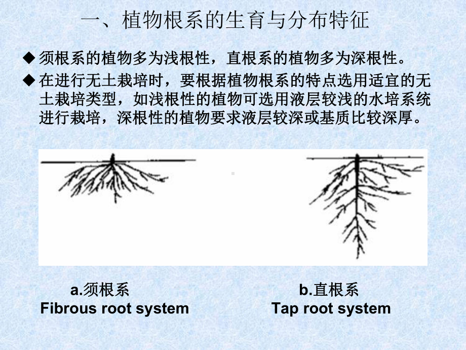 医学课件无土栽培和植物根系.ppt_第3页