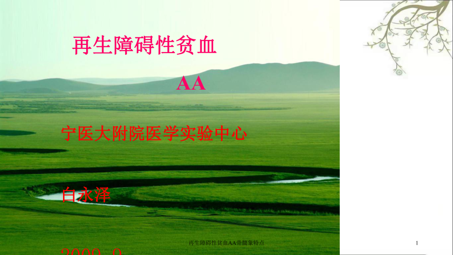 再生障碍性贫血AA骨髓象特点课件.ppt_第1页