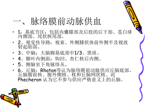 医学课件脑动脉各支供血区分布.ppt