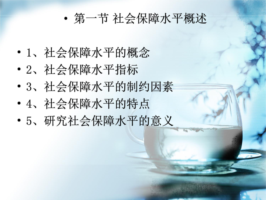 六章社会保障水平课件.ppt_第3页