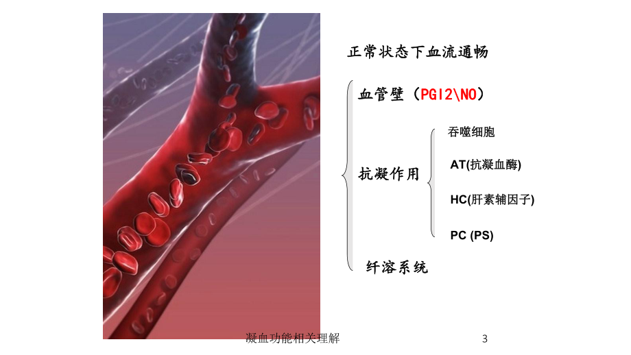 凝血功能相关理解培训课件.ppt_第3页