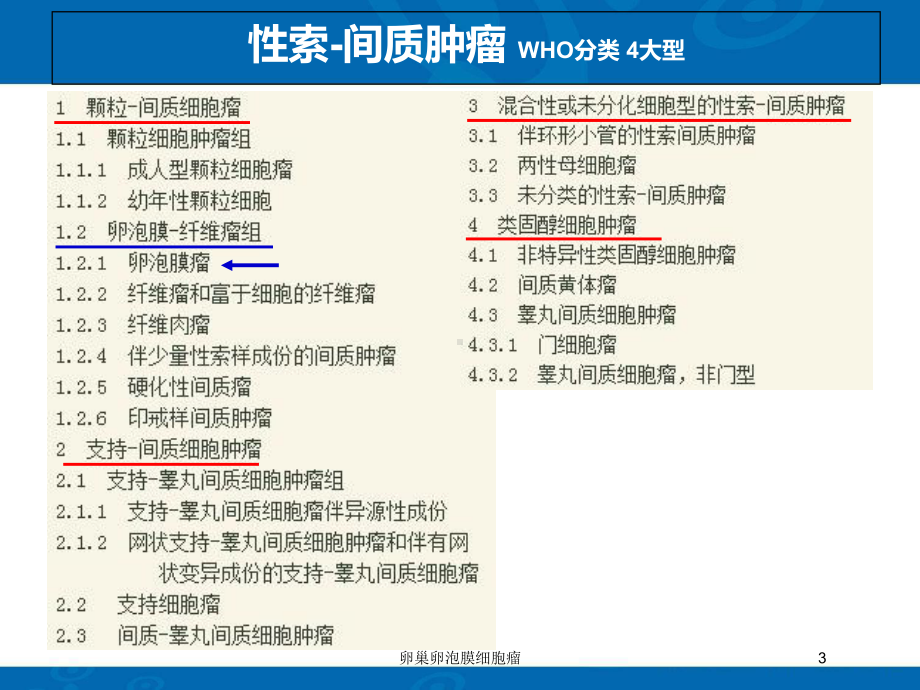 卵巢卵泡膜细胞瘤培训课件.ppt_第3页