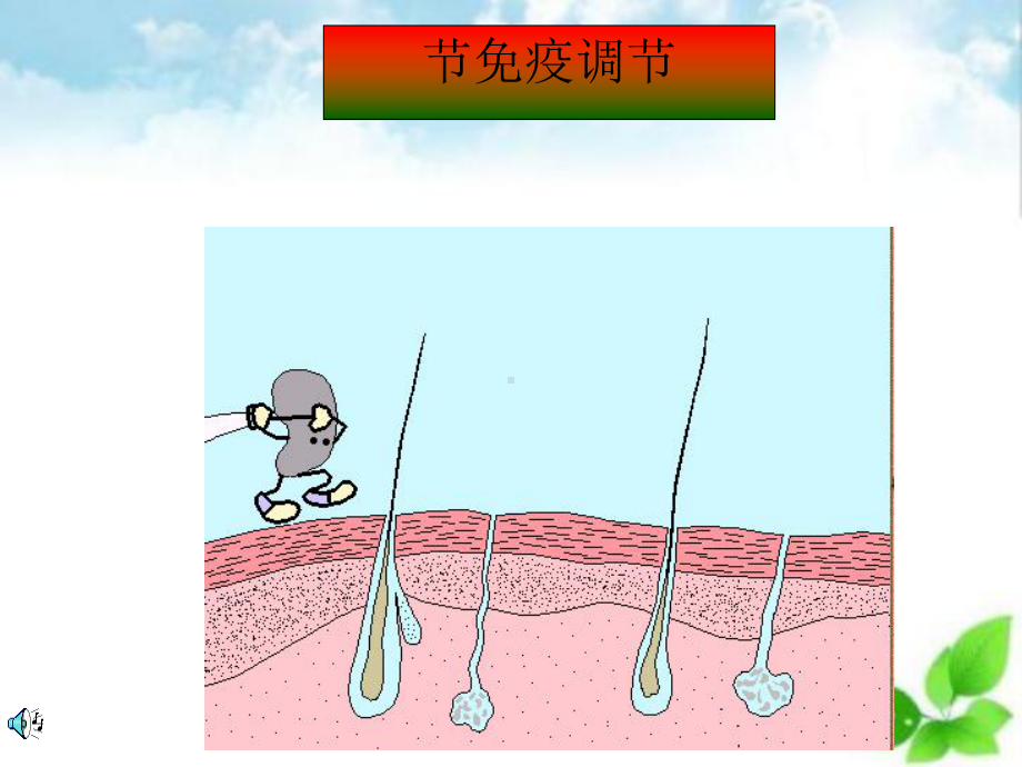 免疫调节课件24.ppt_第1页