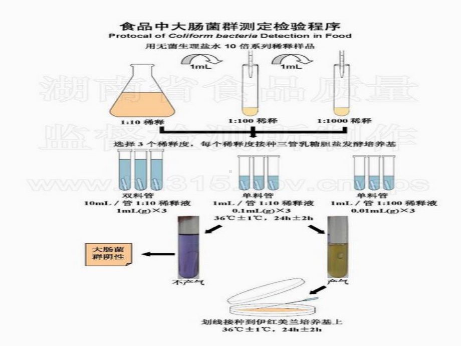 大肠菌群检验技术课件.ppt_第3页