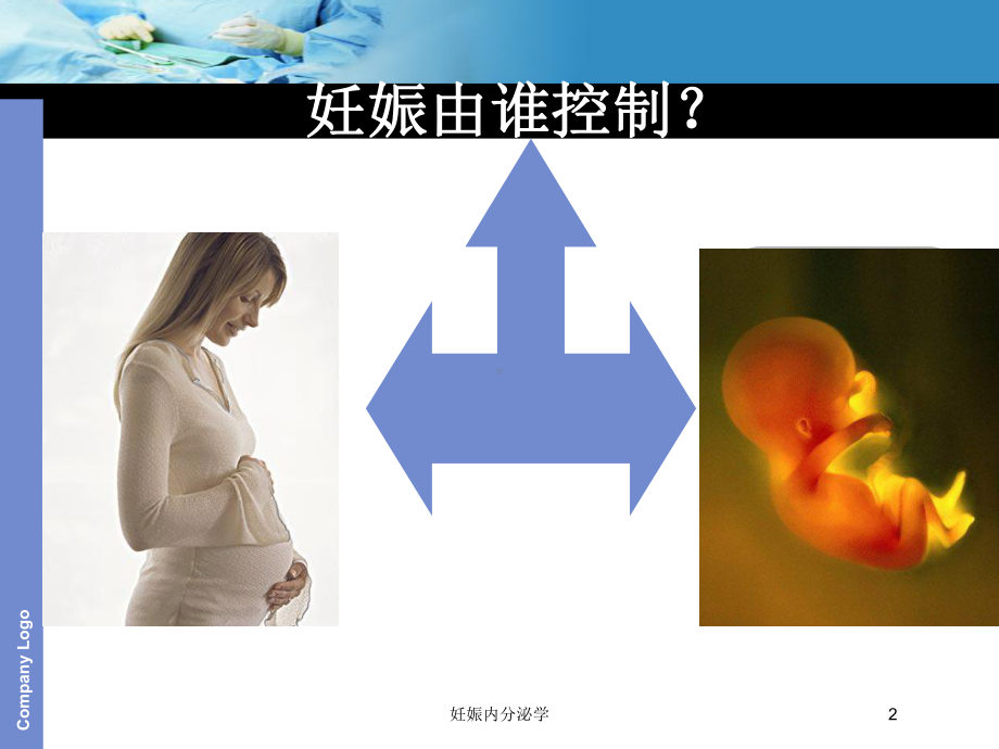 妊娠内分泌学培训课件.ppt_第2页