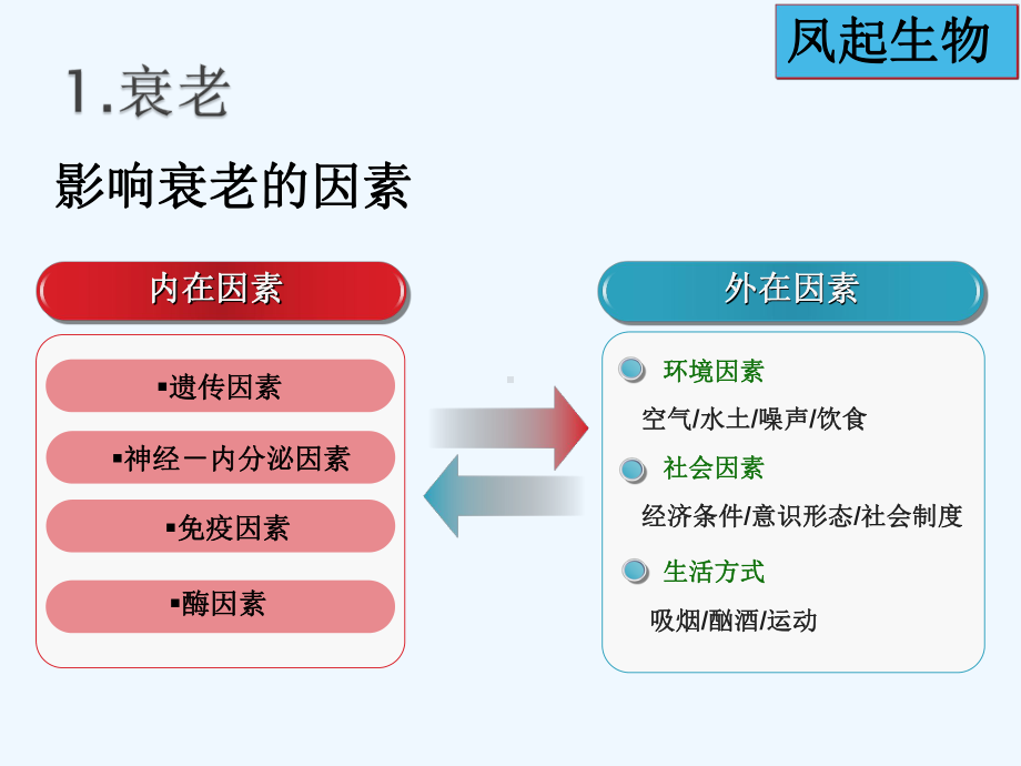 免疫细胞与抗衰老课件.ppt_第3页