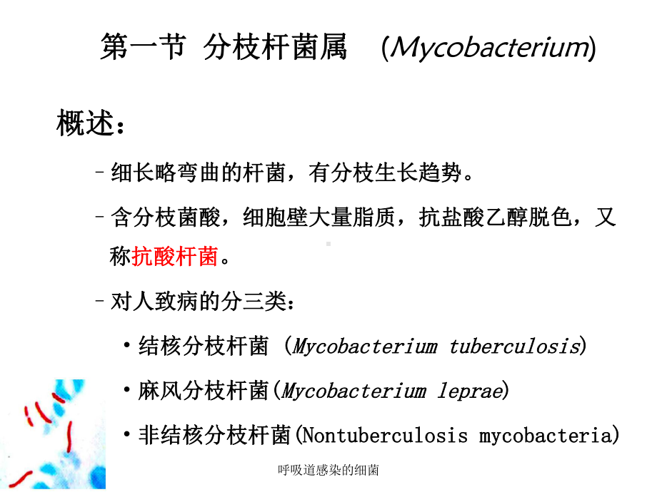 呼吸道感染的细菌课件.ppt_第2页