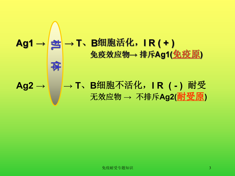 免疫耐受专题知识培训课件.ppt_第3页