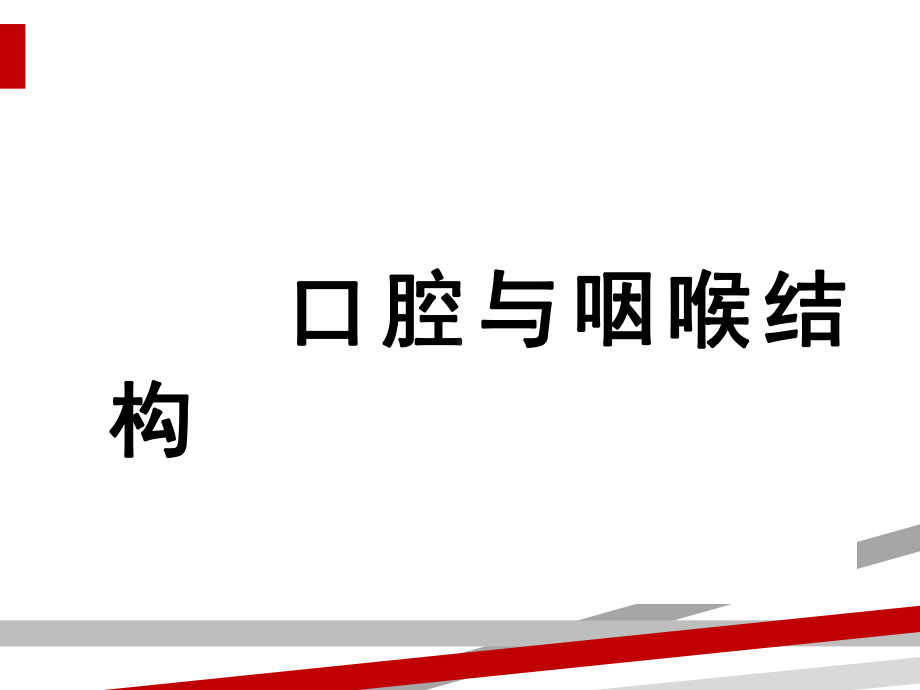 吞咽障碍的评估与治疗课件.ppt_第3页