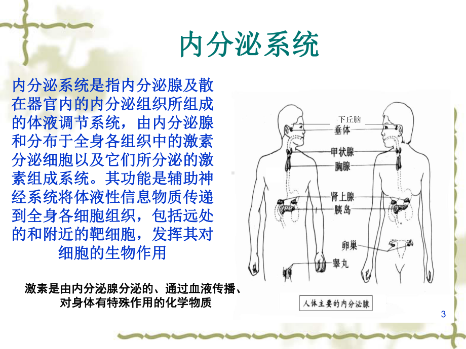 内分泌及代谢性疾病常见症状的护理参考课件.ppt_第3页