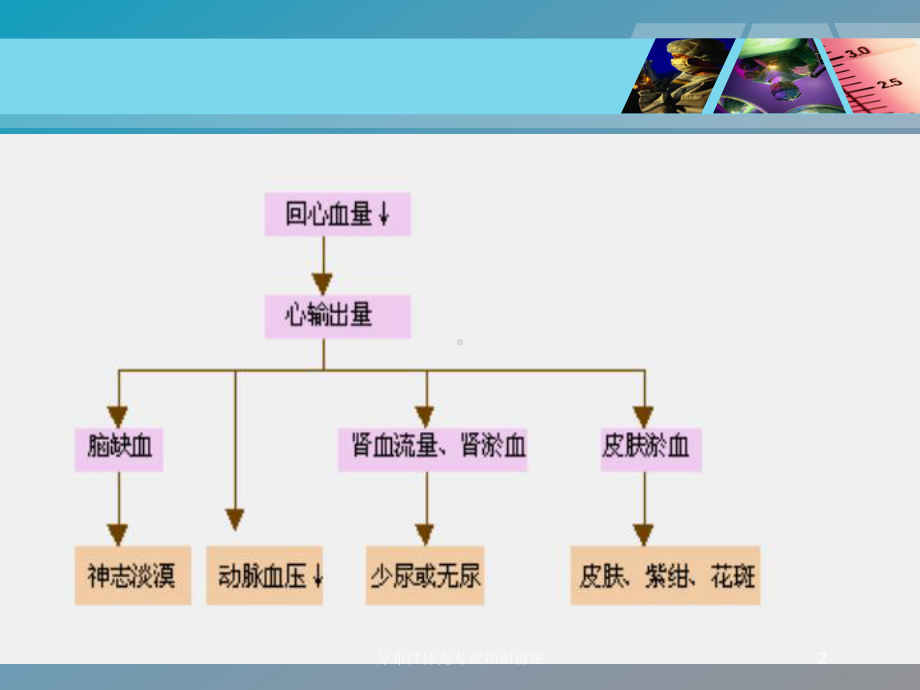 分布性休克专业知识讲座培训课件.ppt_第2页