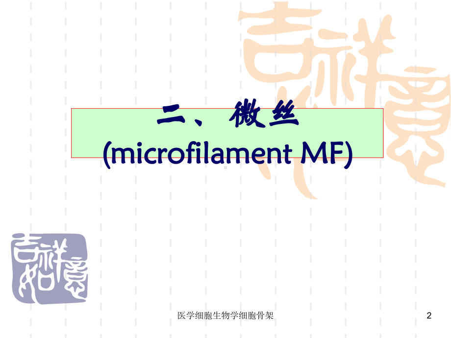 医学细胞生物学细胞骨架课件.ppt_第2页