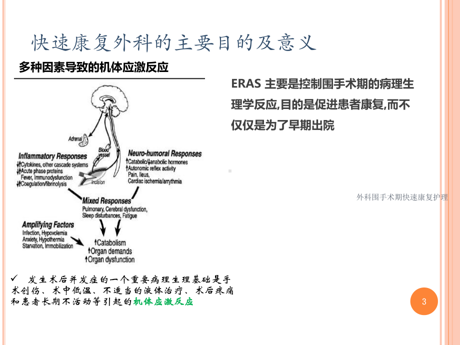 外科围手术期快速康复护理培训课件.ppt_第3页