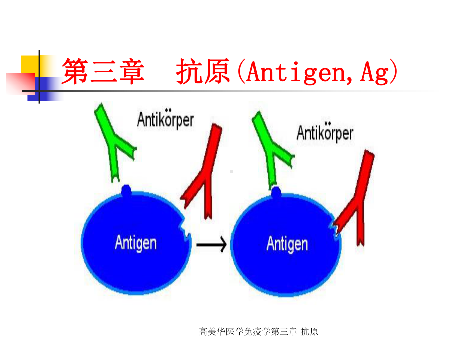 医学免疫学第三章-抗原课件.ppt_第1页